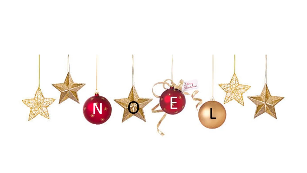 Christmas Party - Noel