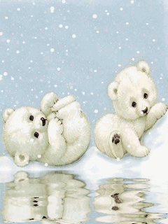 WHITE POLAR BEARS.gif