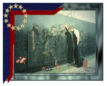 man at wall for solders memorial day.gif