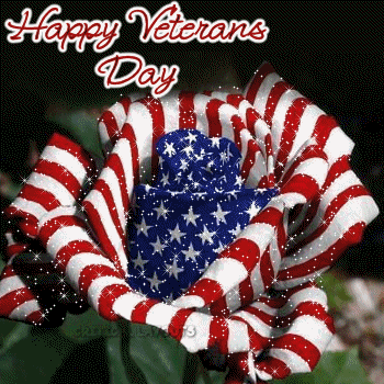 happy-veterans-day-flag-ve-11.gif