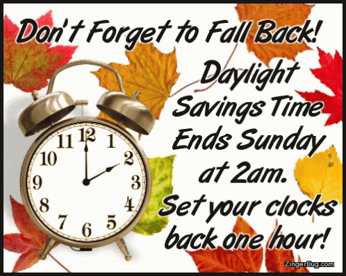 Daylight Savings - Fall Back