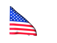 Veteran's Day