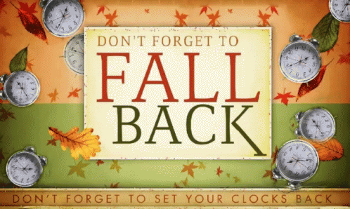 Daylight Savings - Fall Back