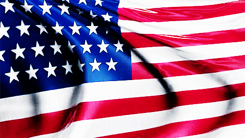 Veteran's Day
