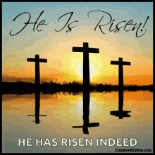 he is risen indeed.gif