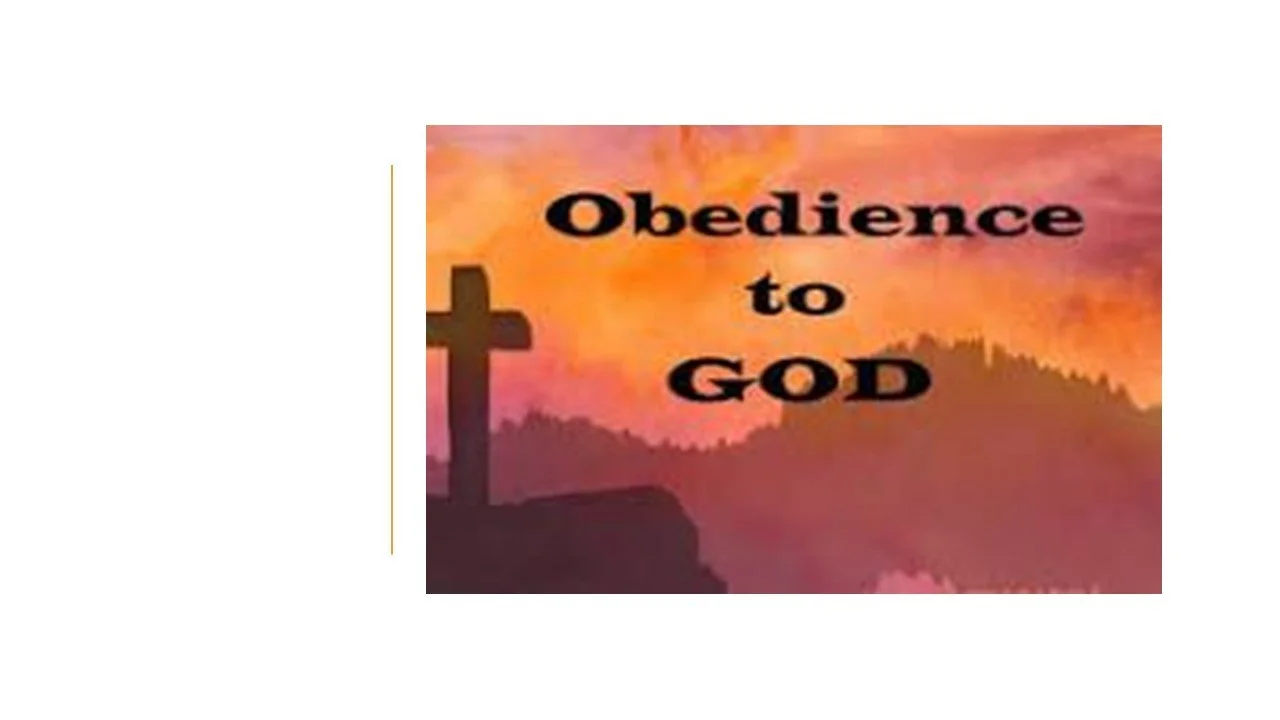 Slide7.JPG