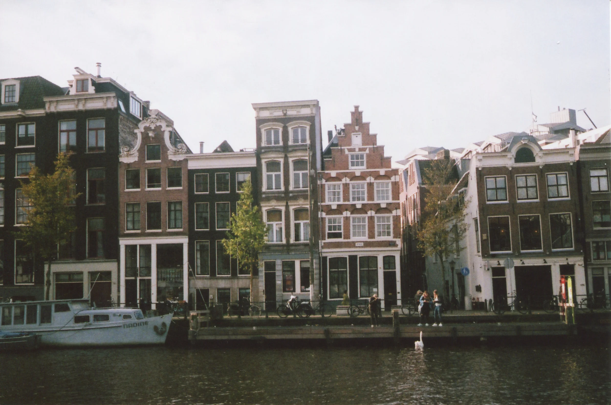 img258.jpg