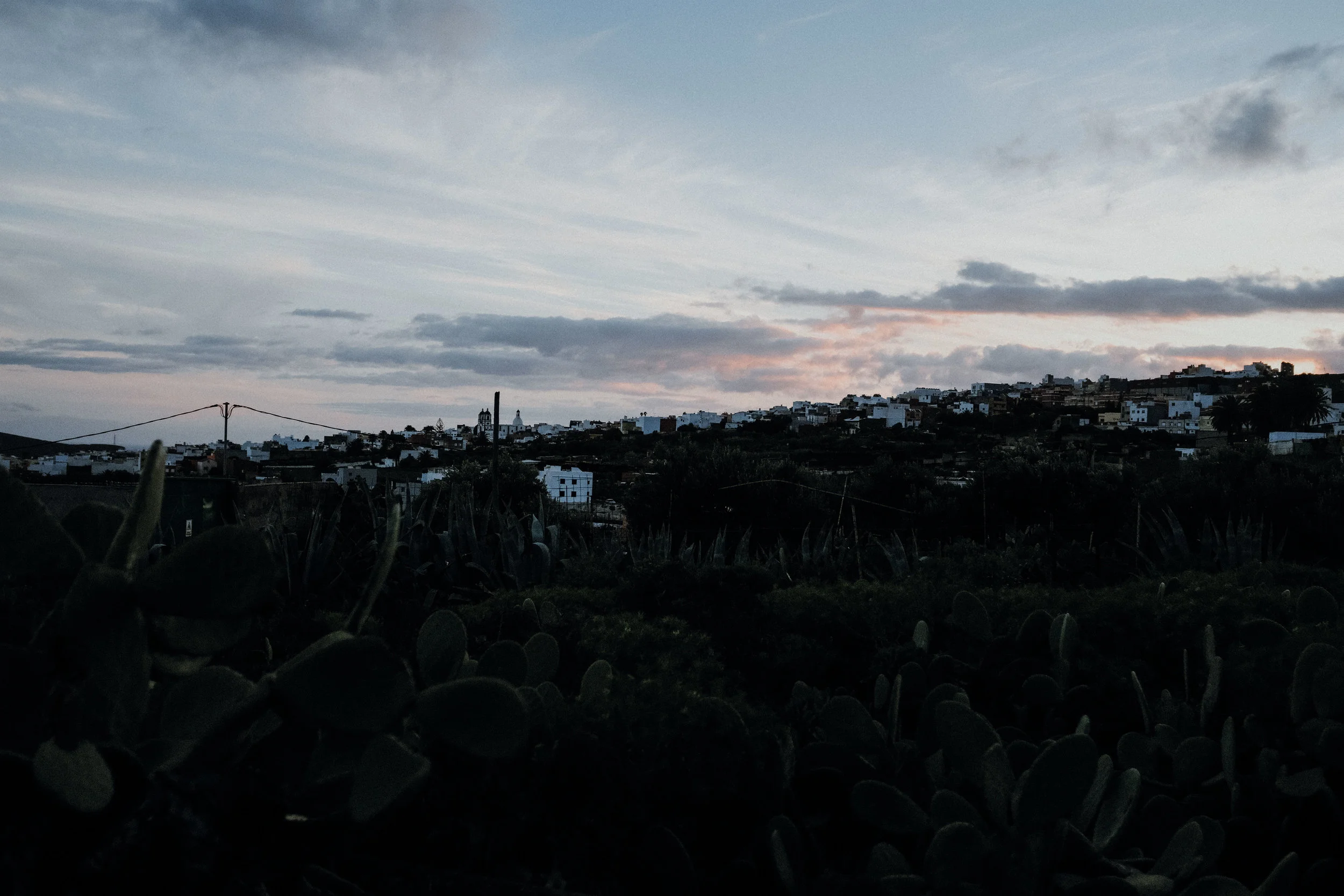 DSCF9131.jpg