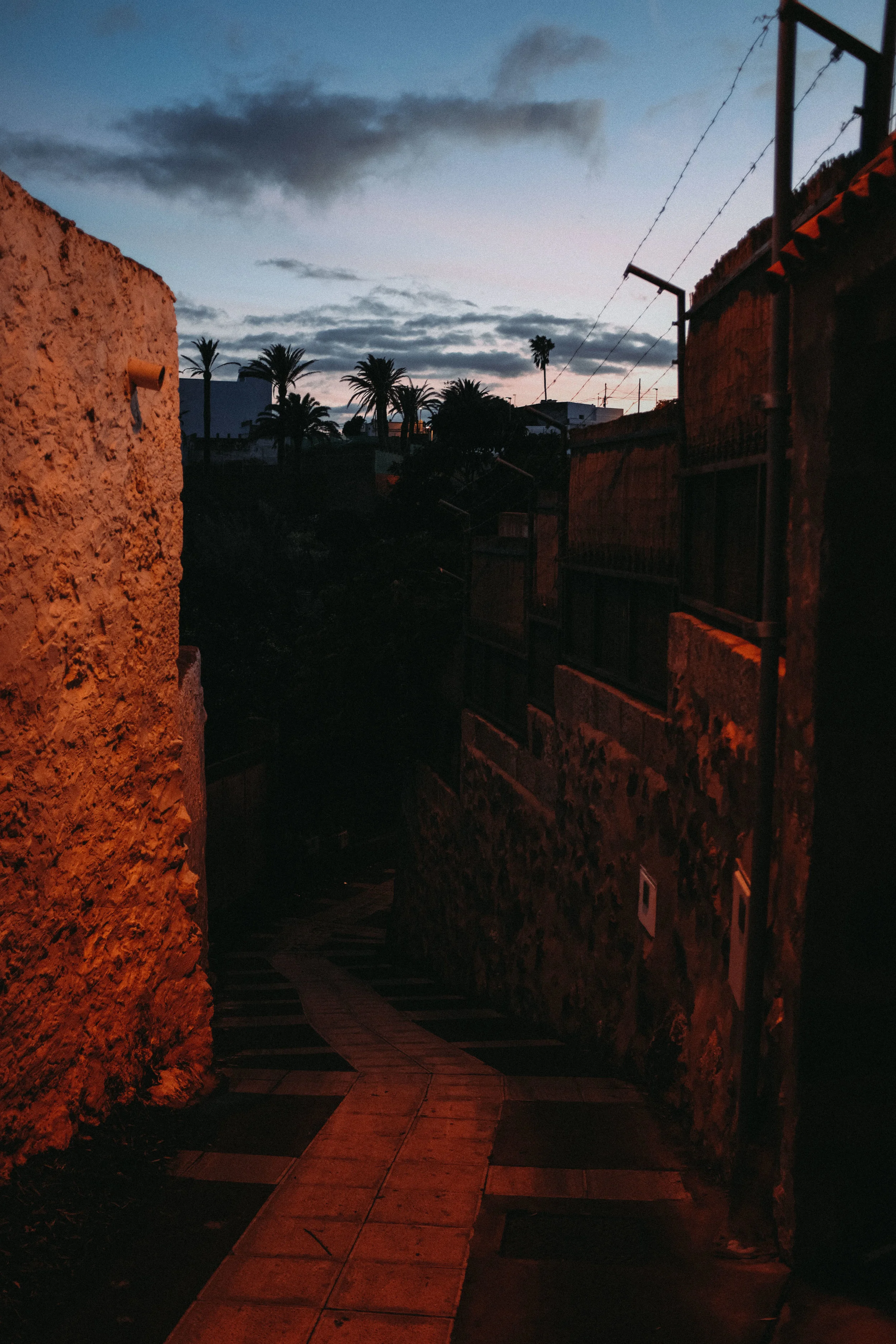 DSCF9154.jpg