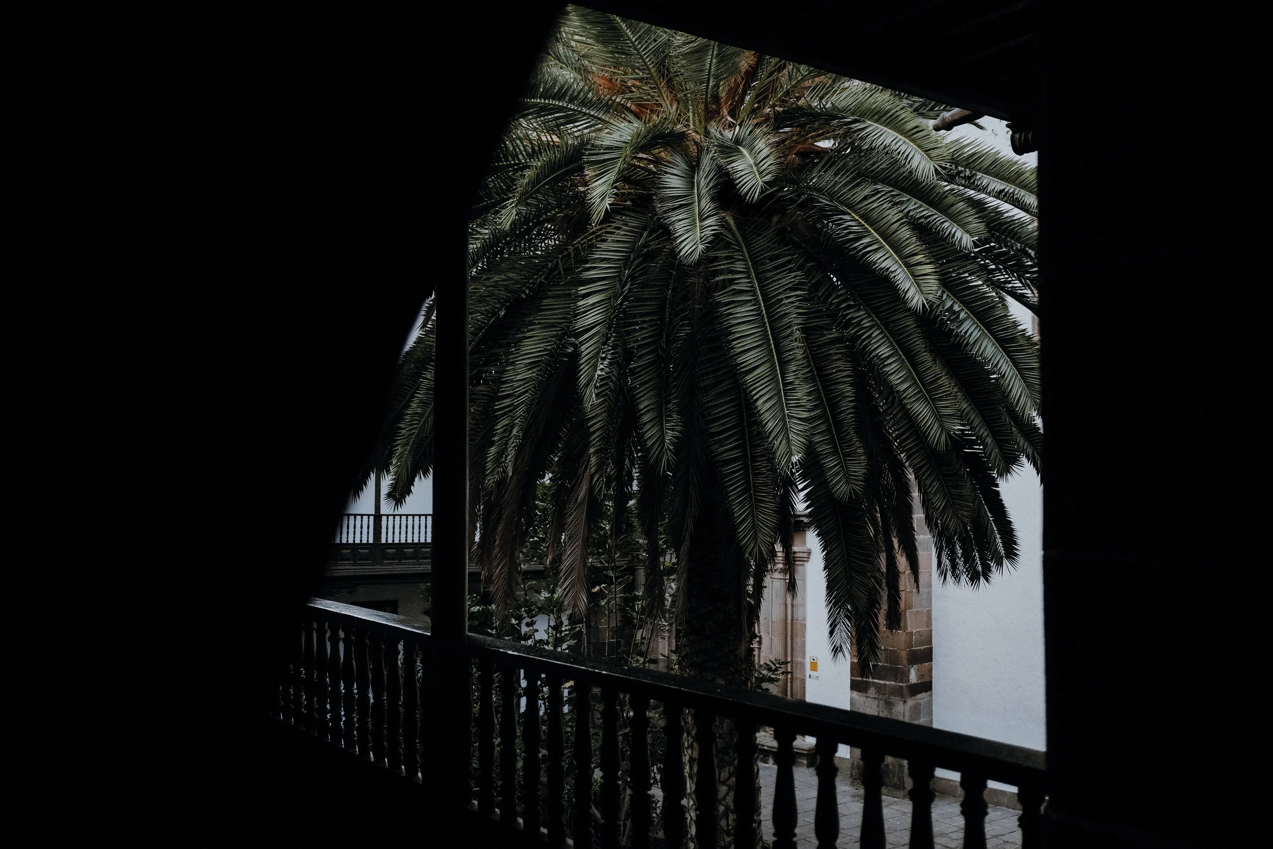 DSCF9246.jpg