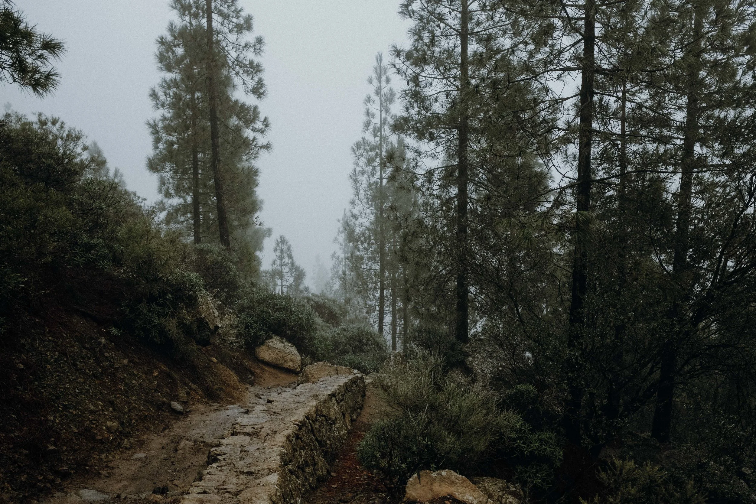 DSCF9329.jpg