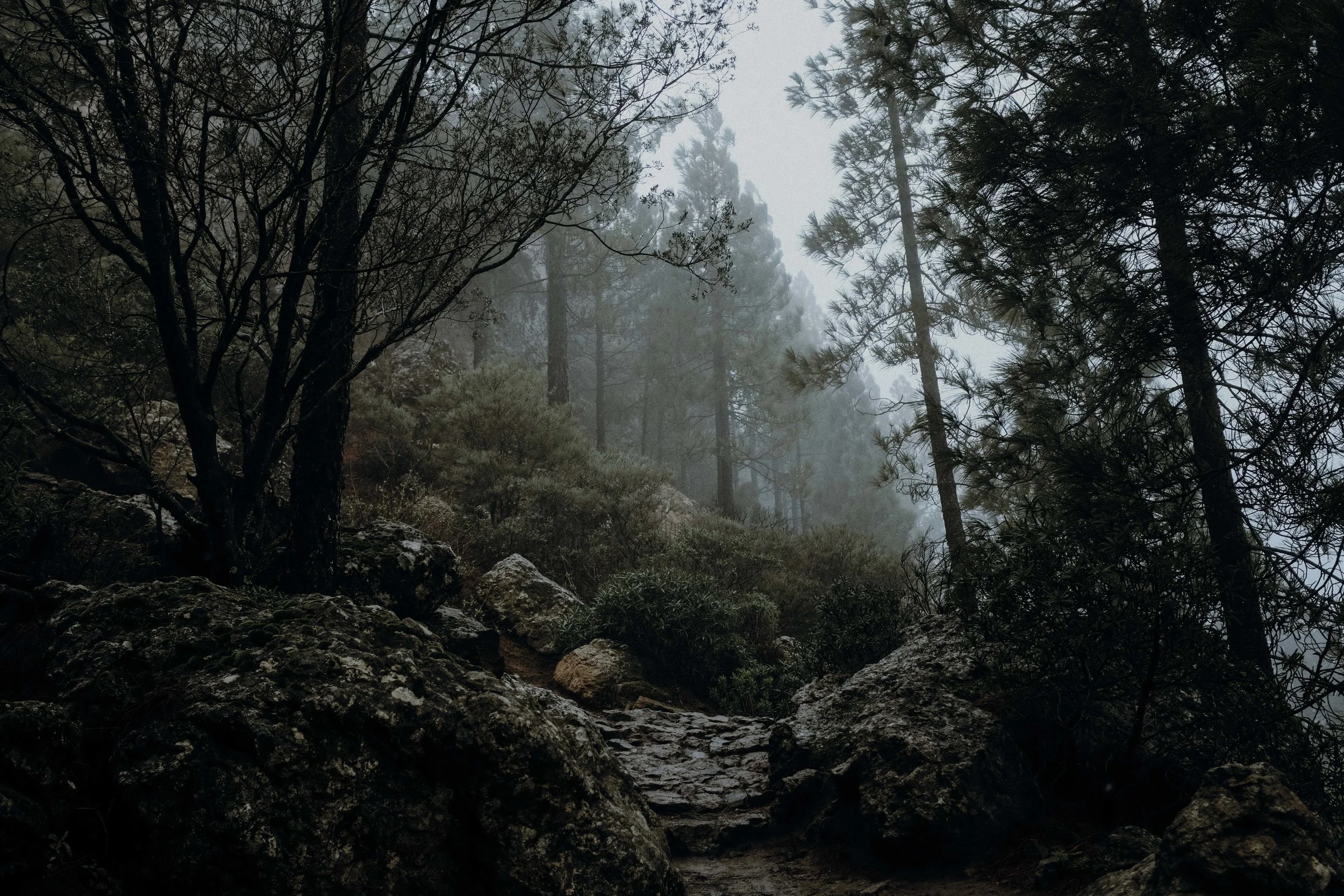 DSCF9339.jpg