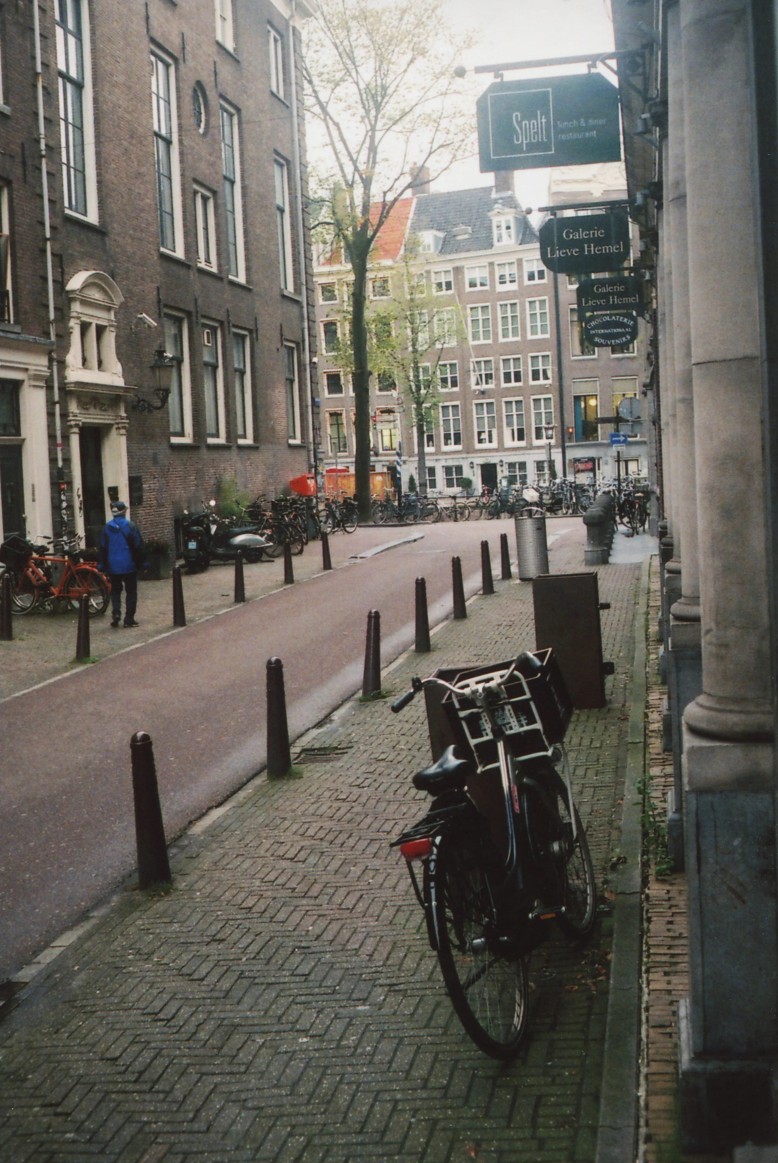 img267.jpg