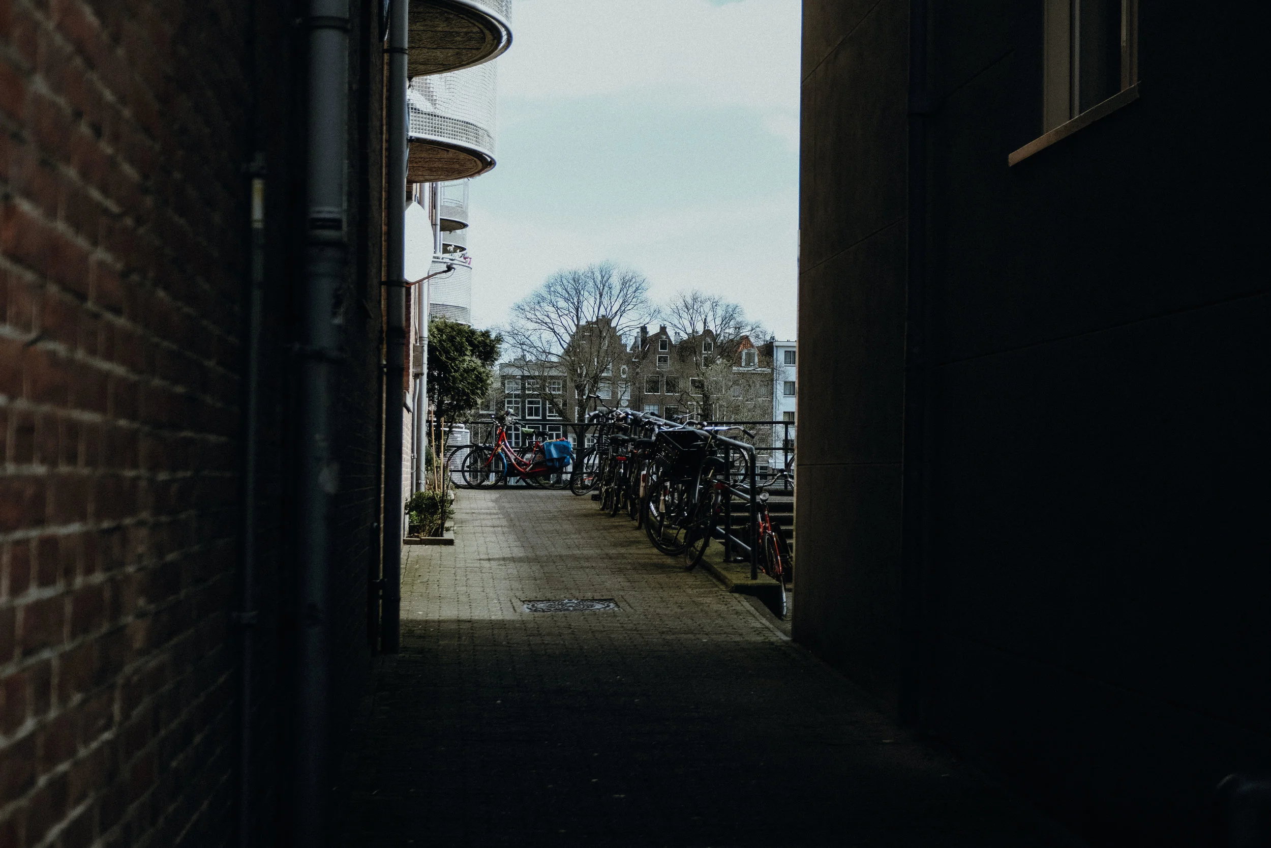 DSCF2223.jpg