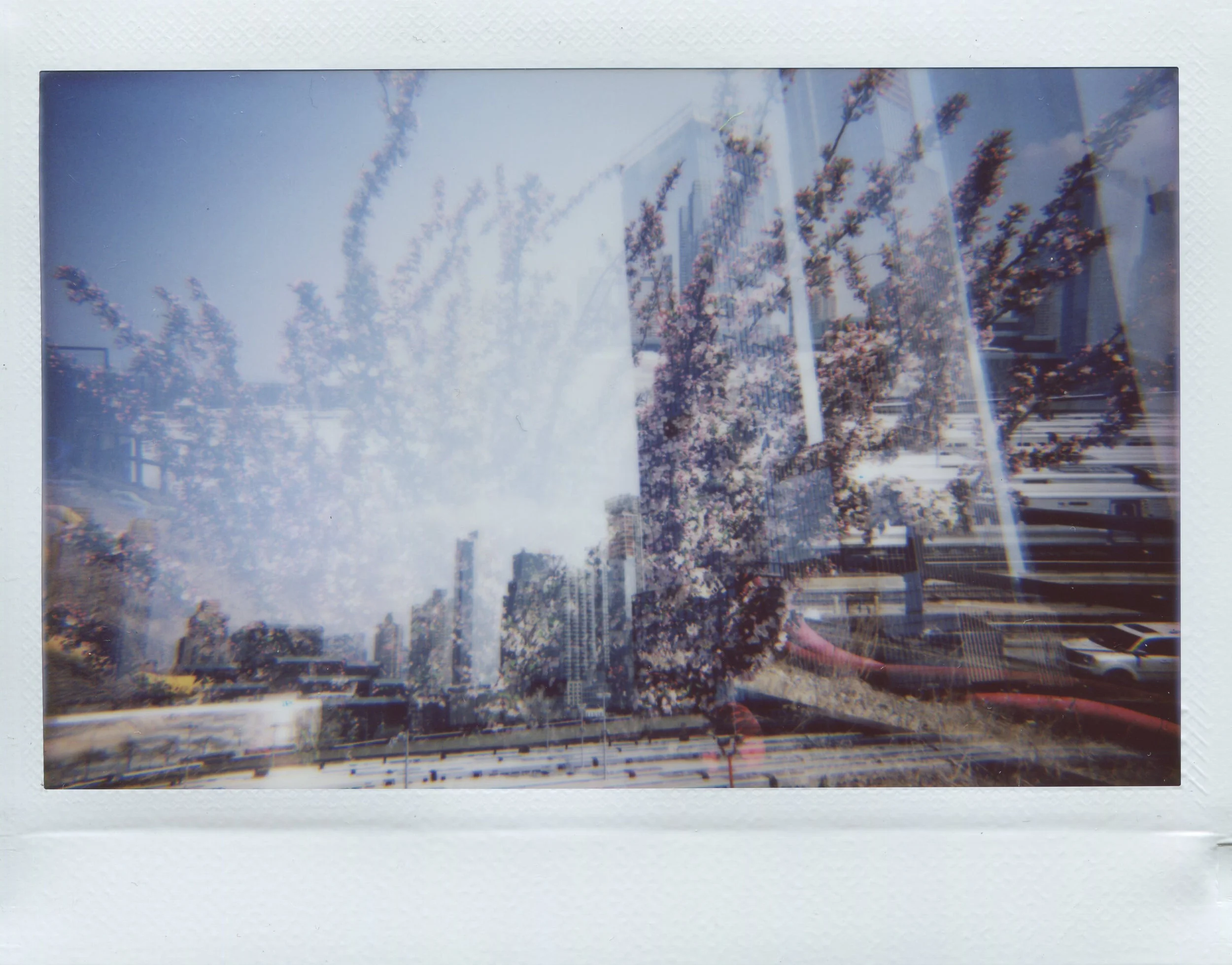img325.jpg