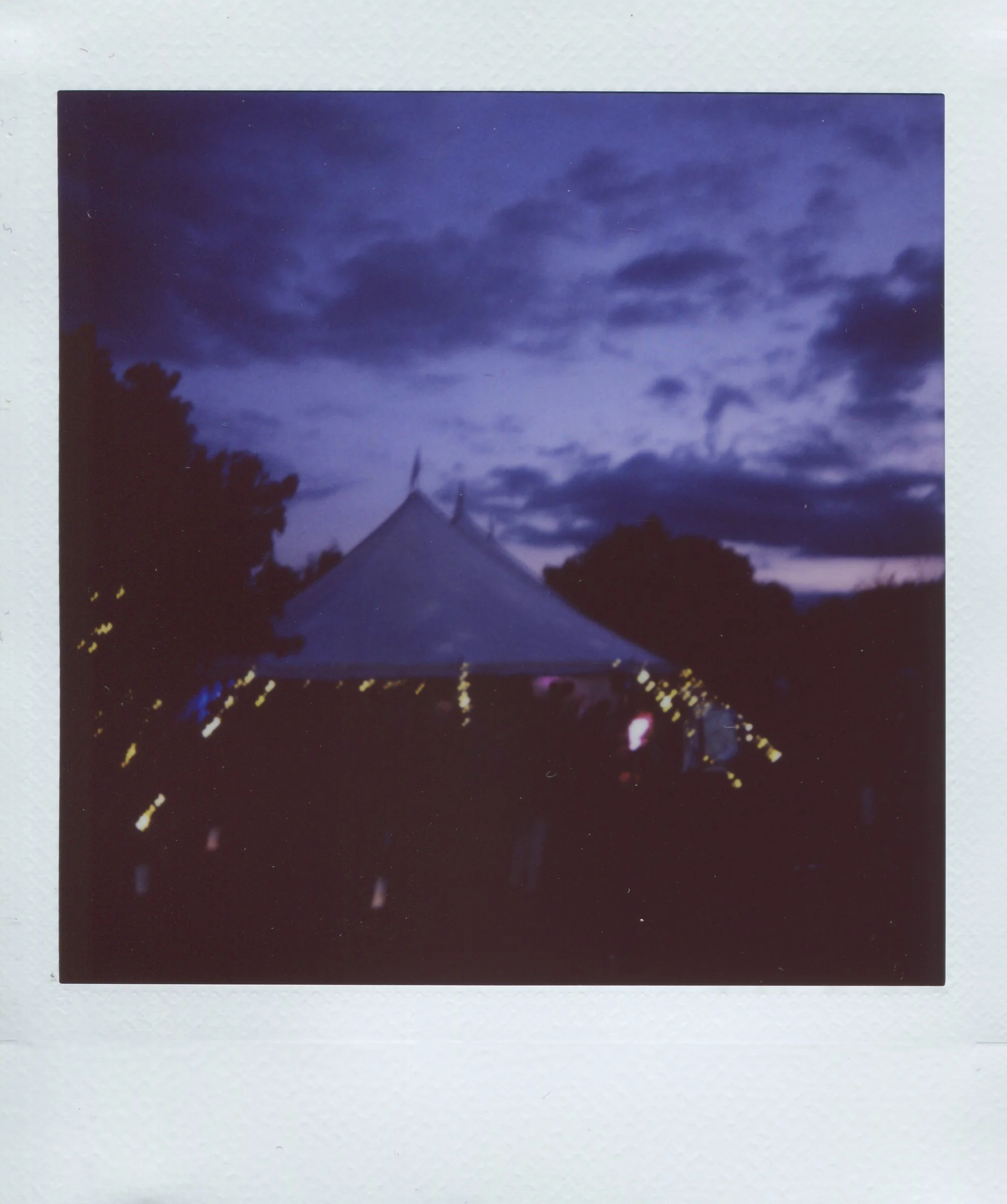 img393.jpg