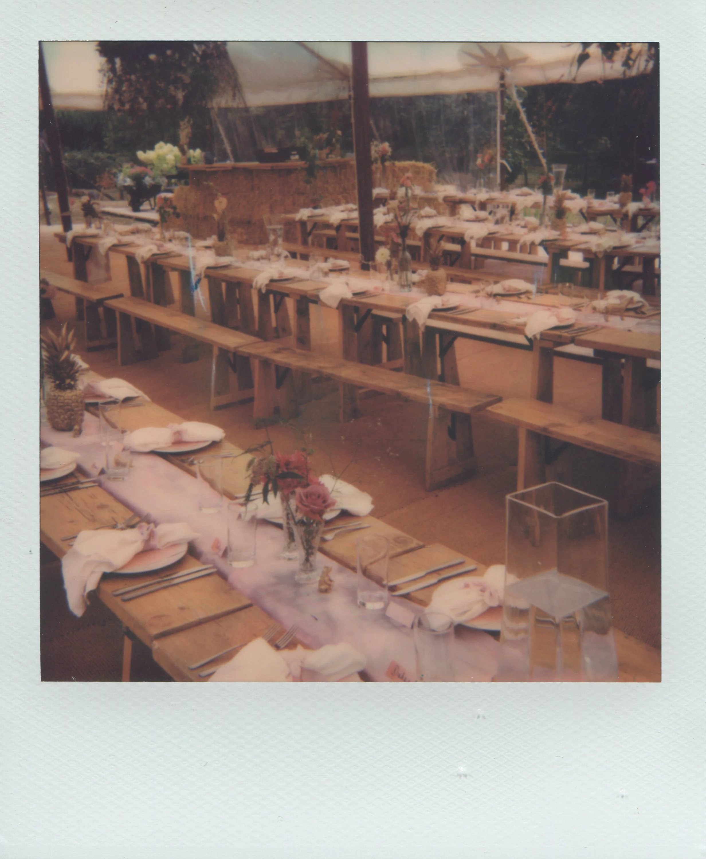 img405.jpg