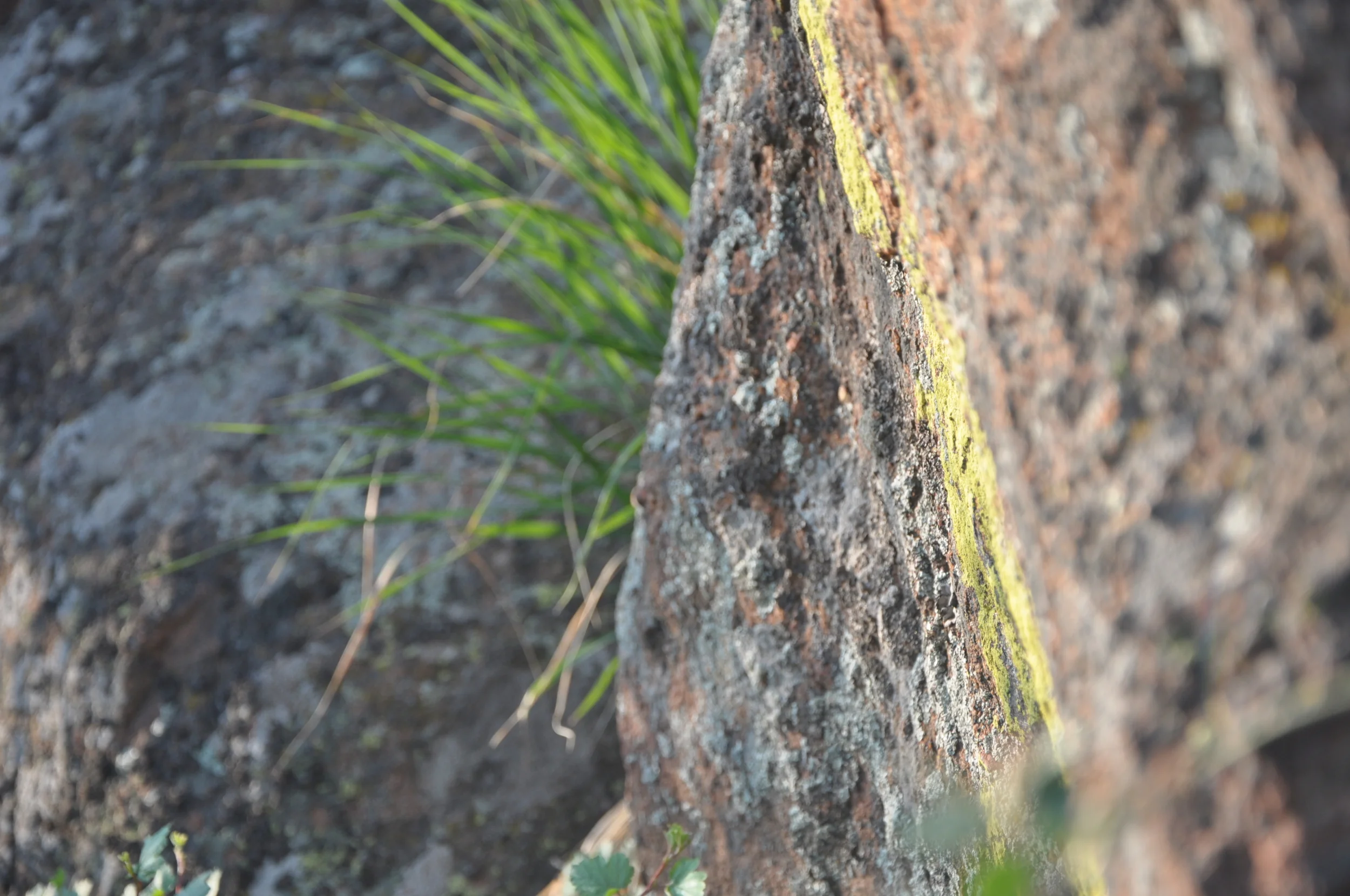 An Excerpt from Michael Meade The Genius Myth