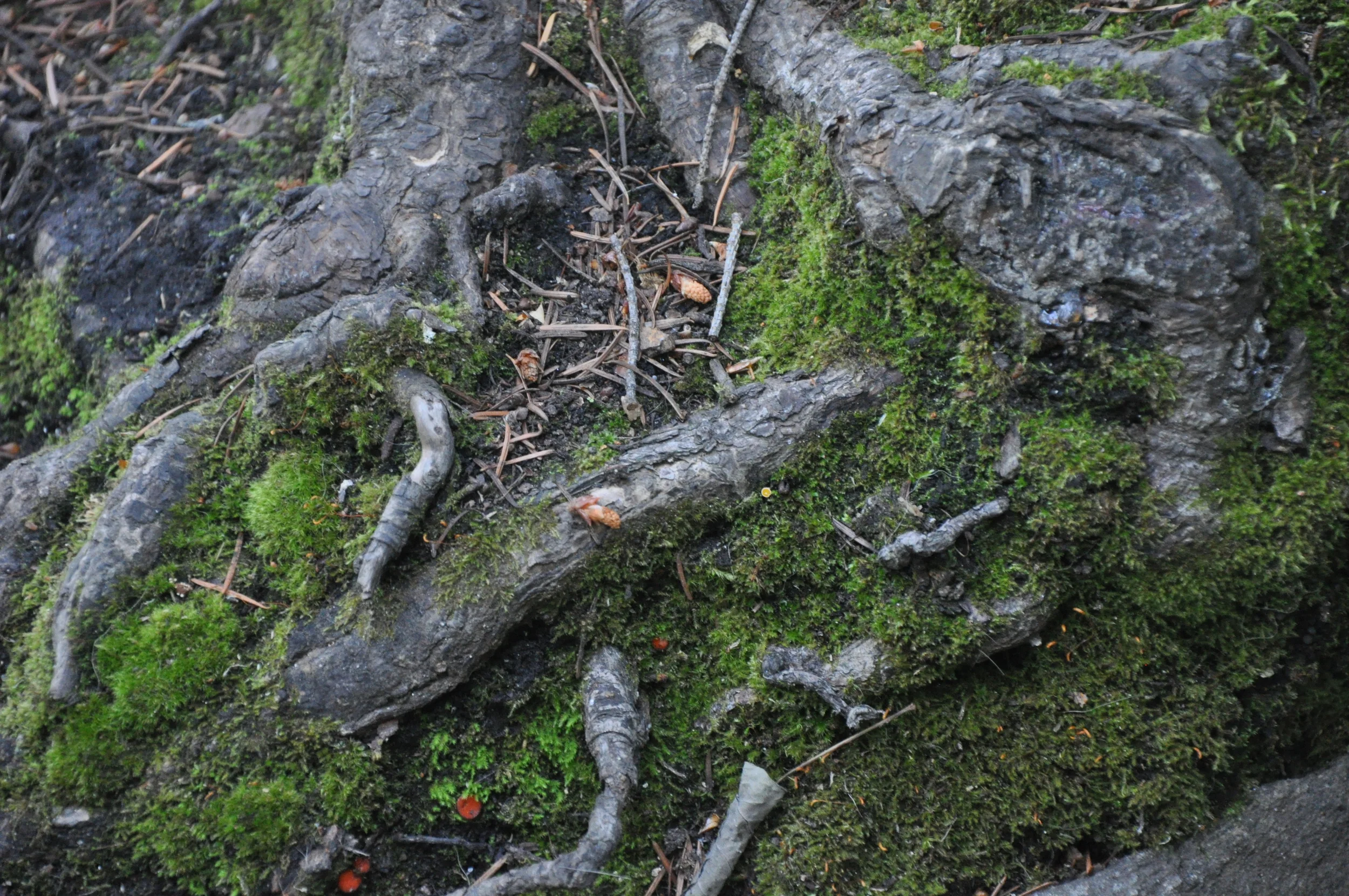 Welcoming Fear Back Into The Conversation