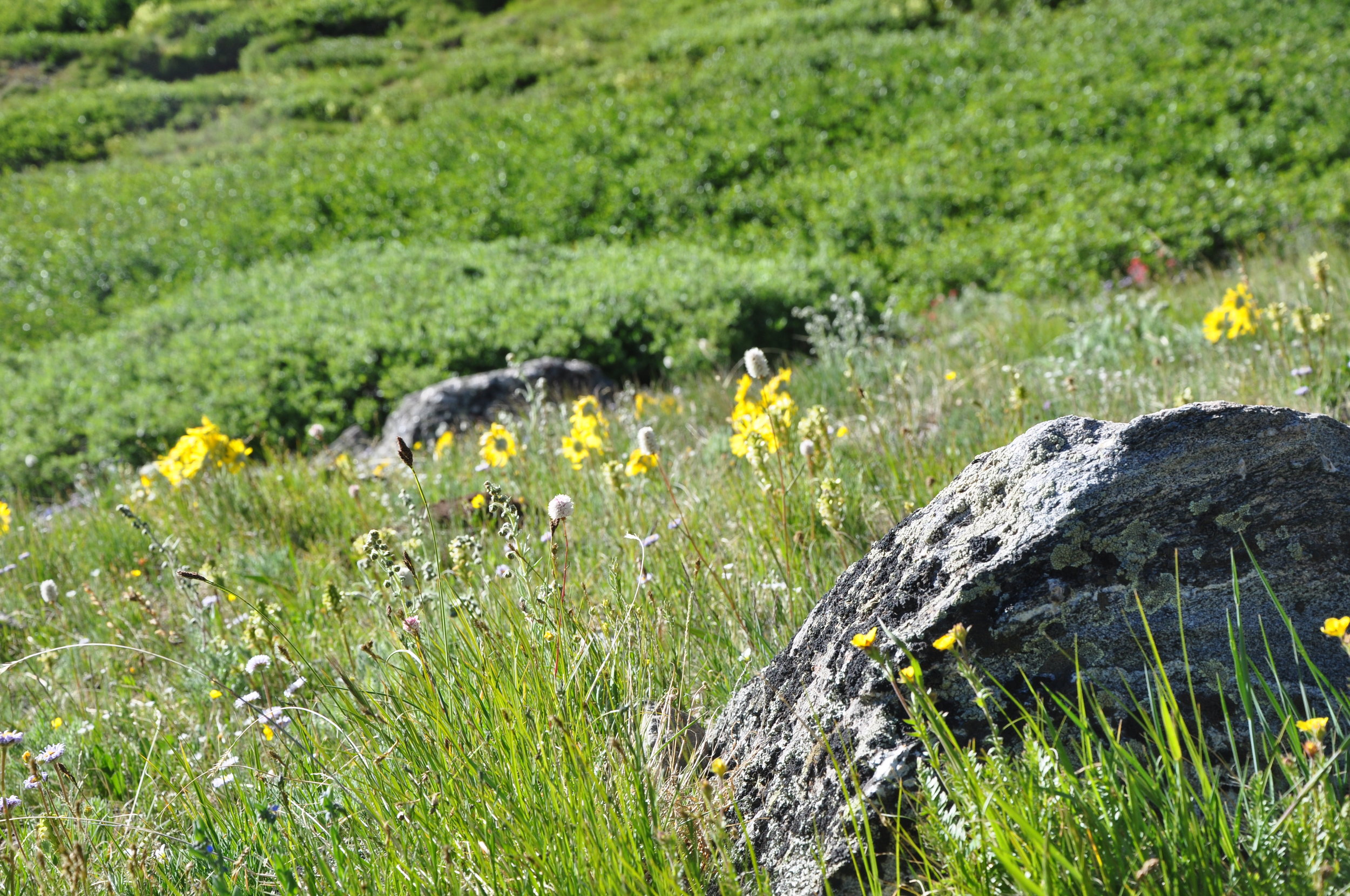 DSC_0476.jpg