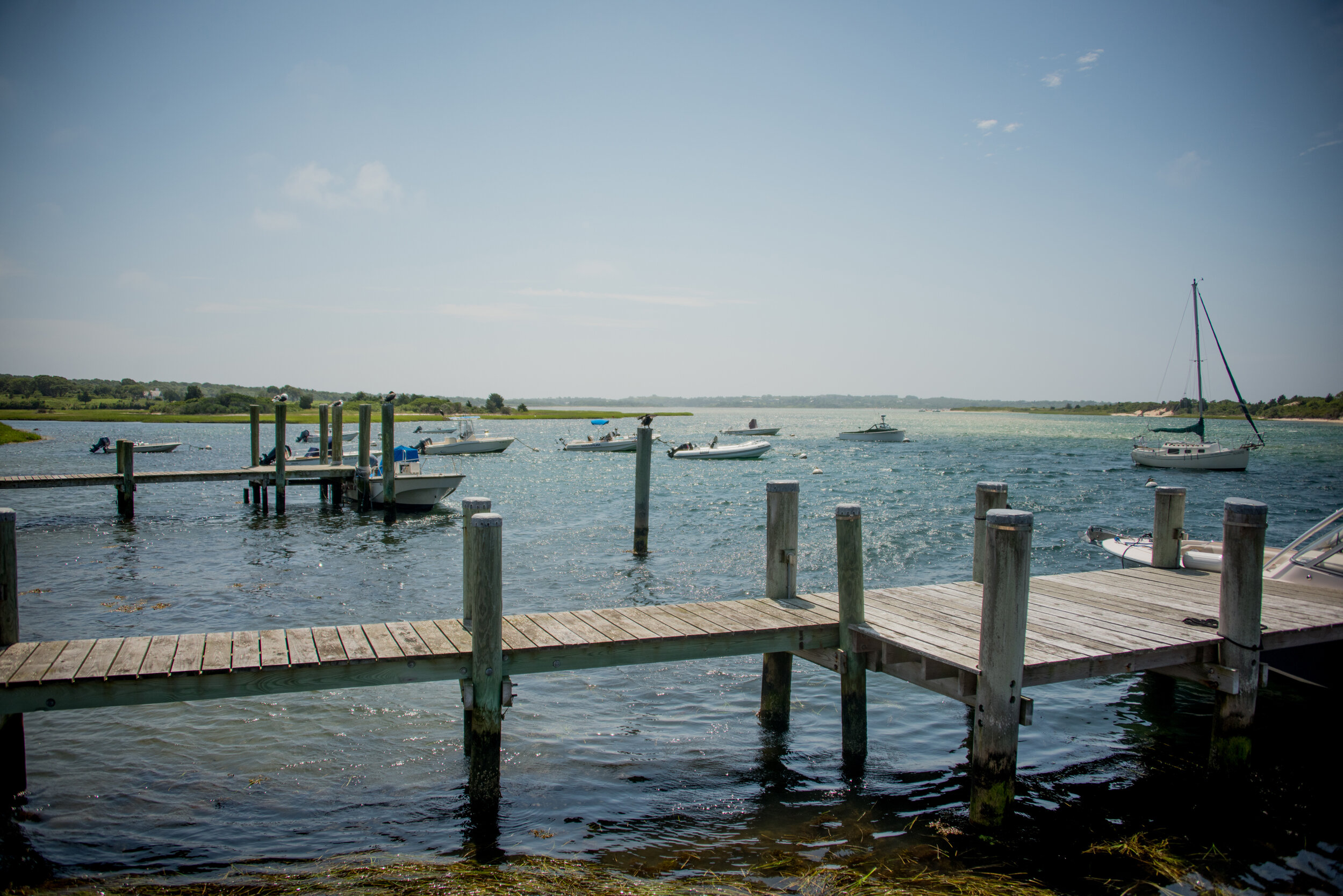 DSC_2946.jpg