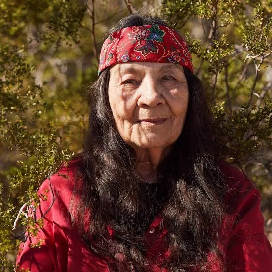 Almanac of the Dead by Leslie Marmon Silko