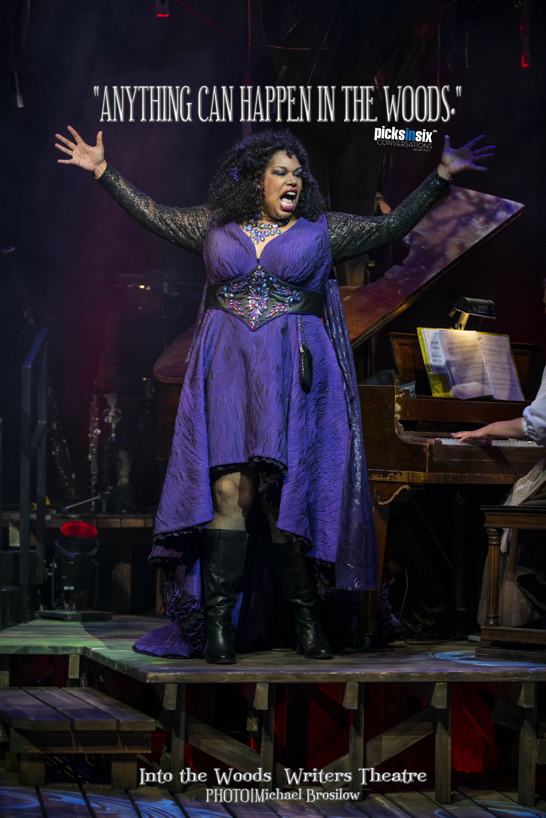 TOP PICK! WRITERS THEATRE Presents INTO THE WOODS 325 Tudor Court Glencoe through September 22 WEBSITE TICKETS (847)242-6000 CONVERSATIONS podcasts available on Apple Podcasts , Libsyn and Stitcher . For more reviews, visit: Theatre In Chicago ARCHIVE