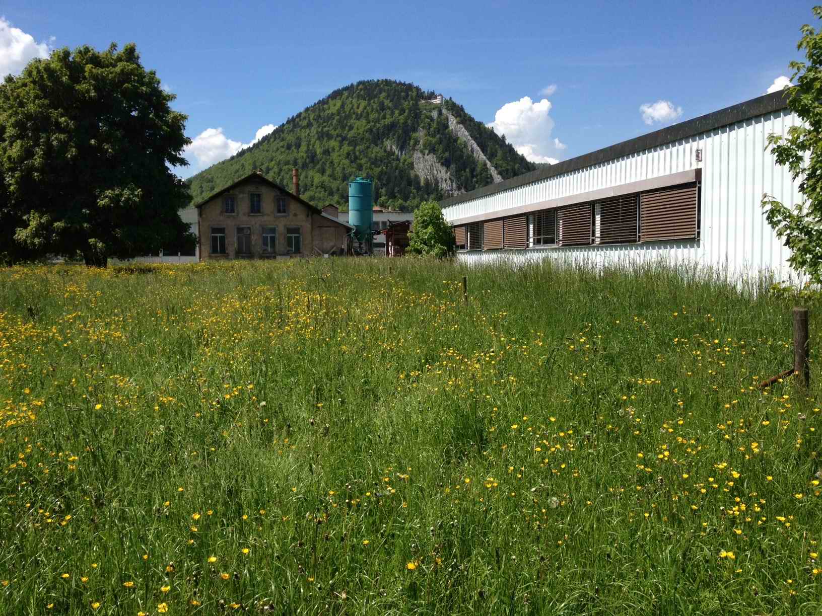 Summertime at PHYTO5®'s factory grounds, Fleurier, Switzerland