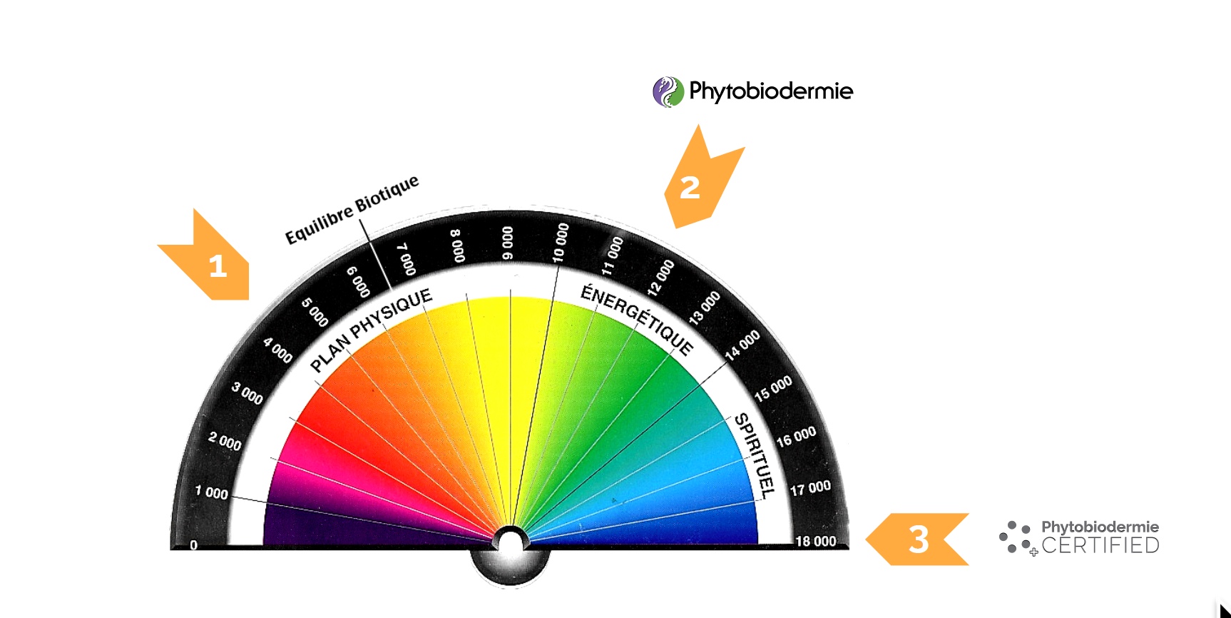 PHYTO5 Elemental line skincare (Phytobiodermie Certified) registers at the quantum level on the Bovis Scale.
