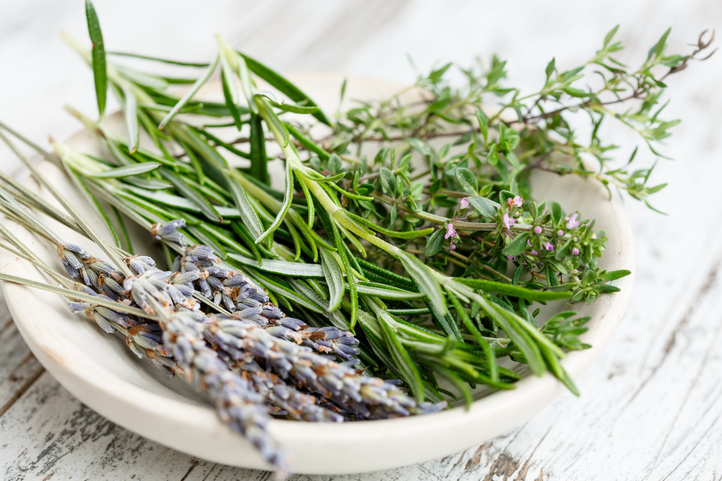 Essential Oil Blend: Lavender Rosemary