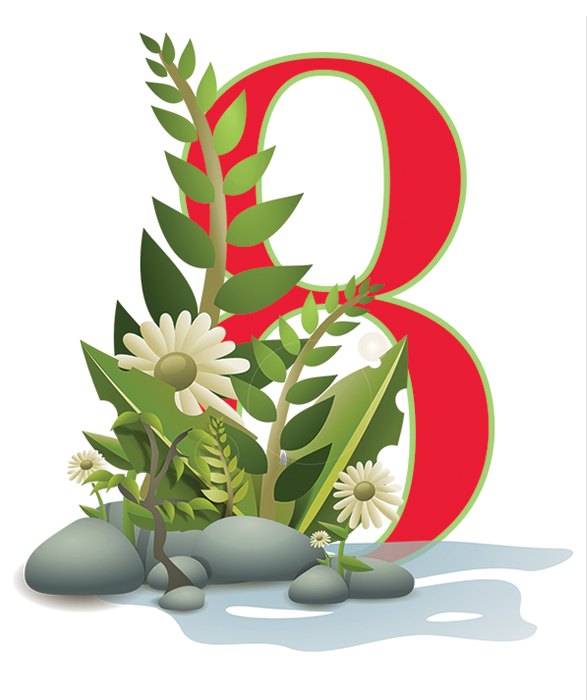 Day 8 of the Days of PHYTO5 Christmas
