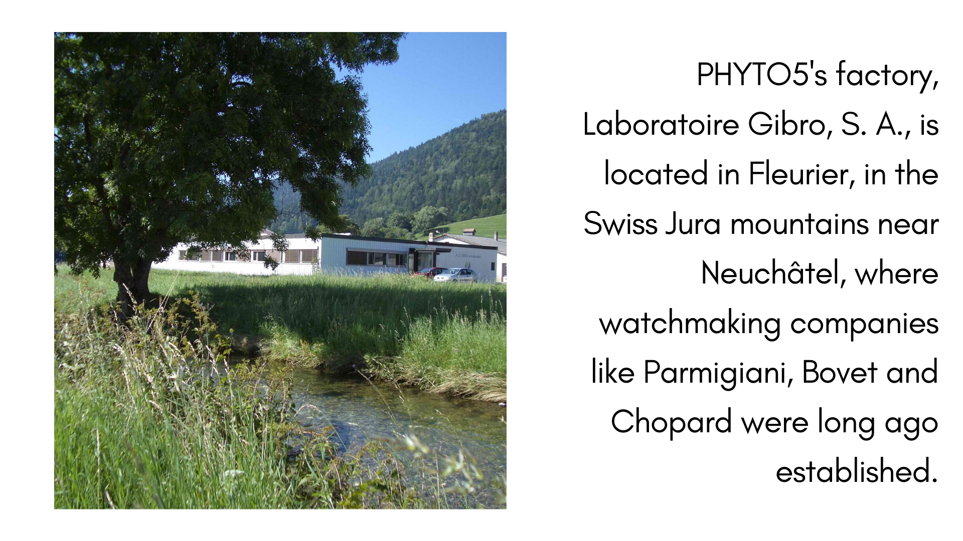phyto5-swiss-factory-fleurier.png