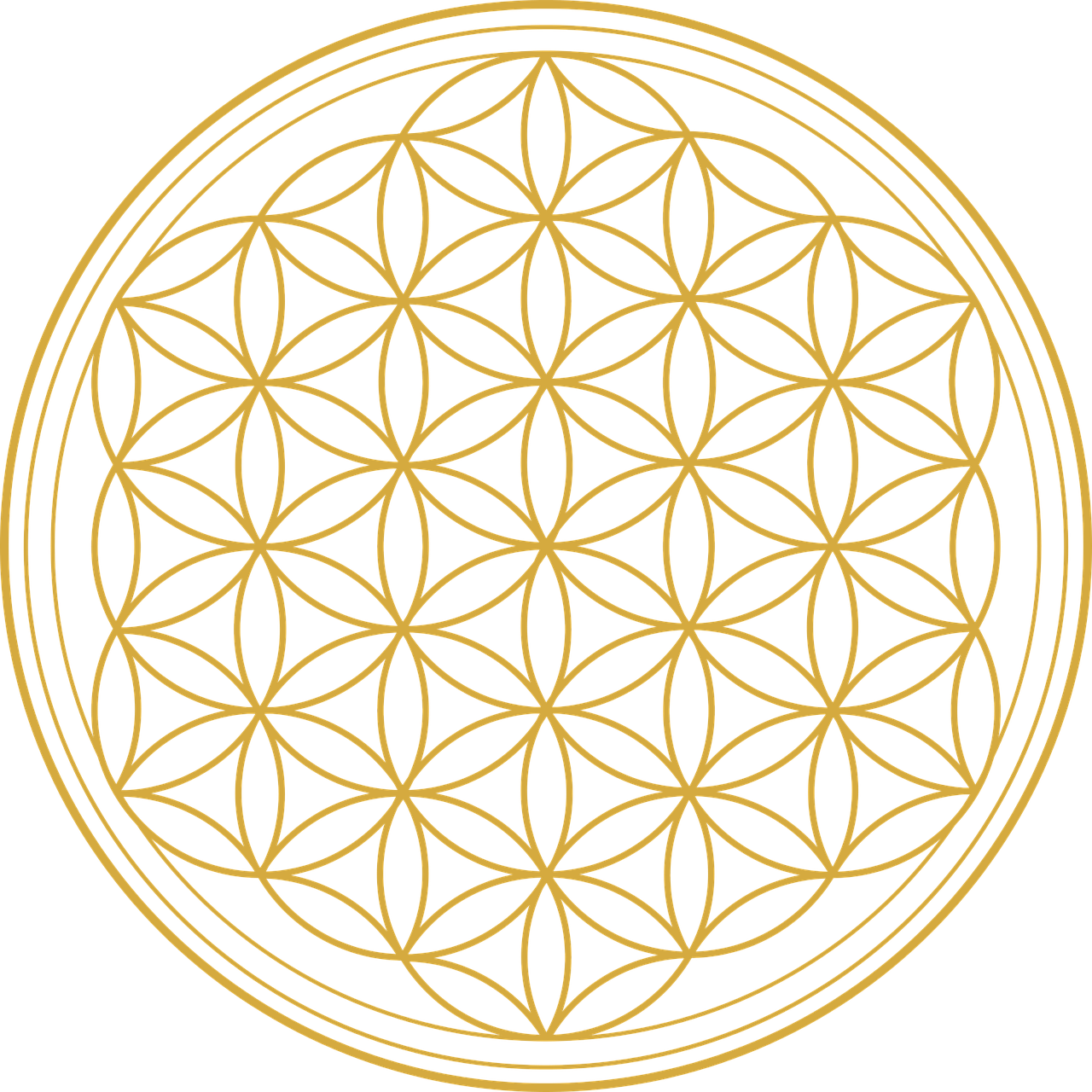 The Flower Of Life Junction Point