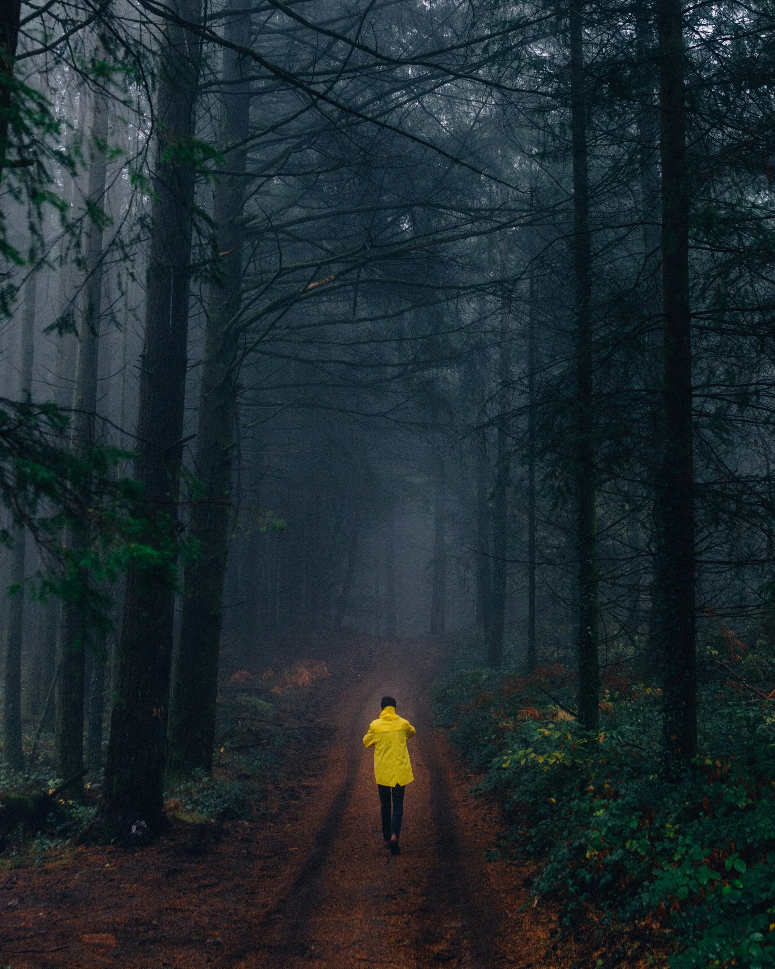 8 Ways to Expose Yourself To Earth's Healing Negative Ions