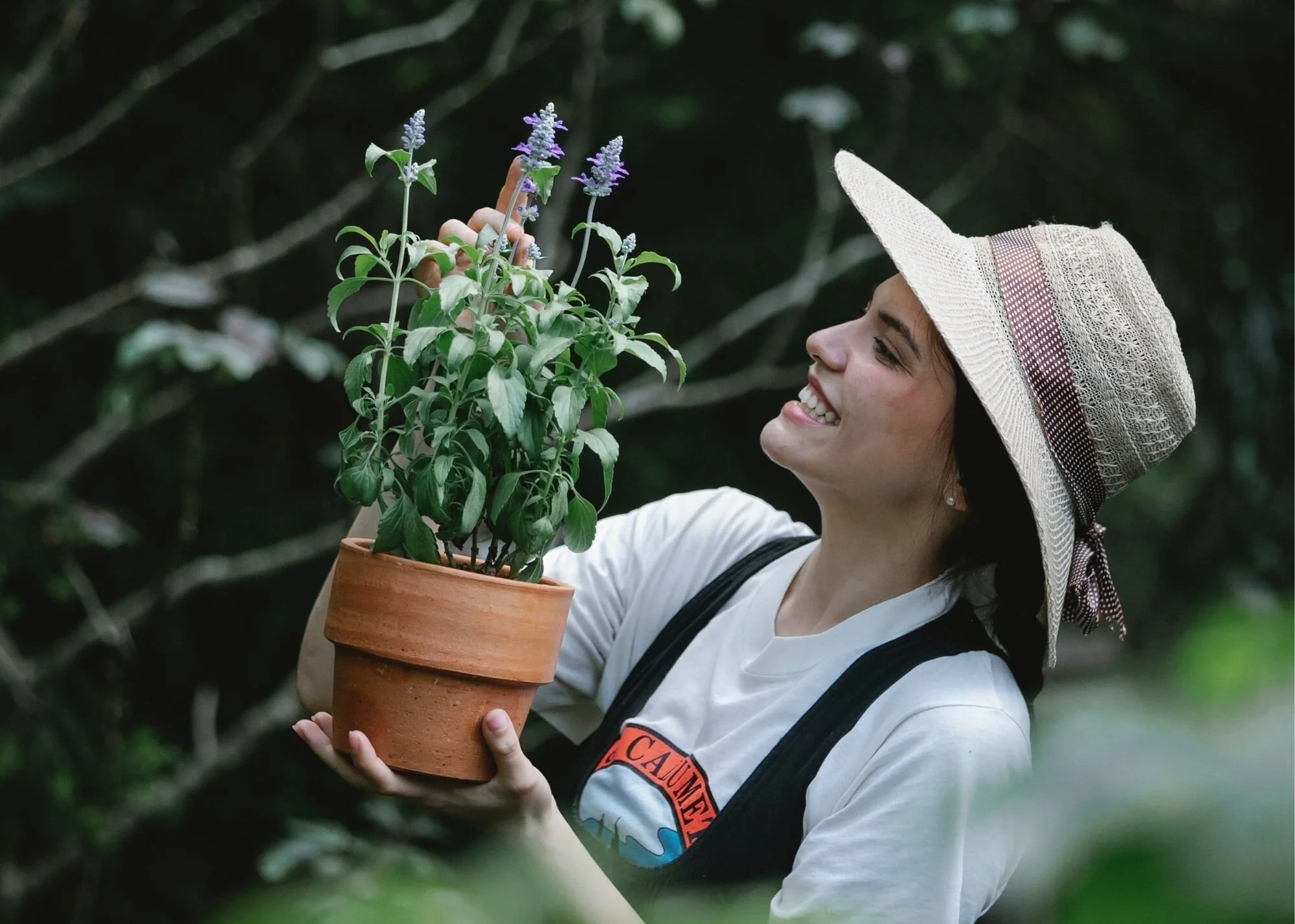 Sage Essential Oil: All-Around Natural Wonder for Skin and B