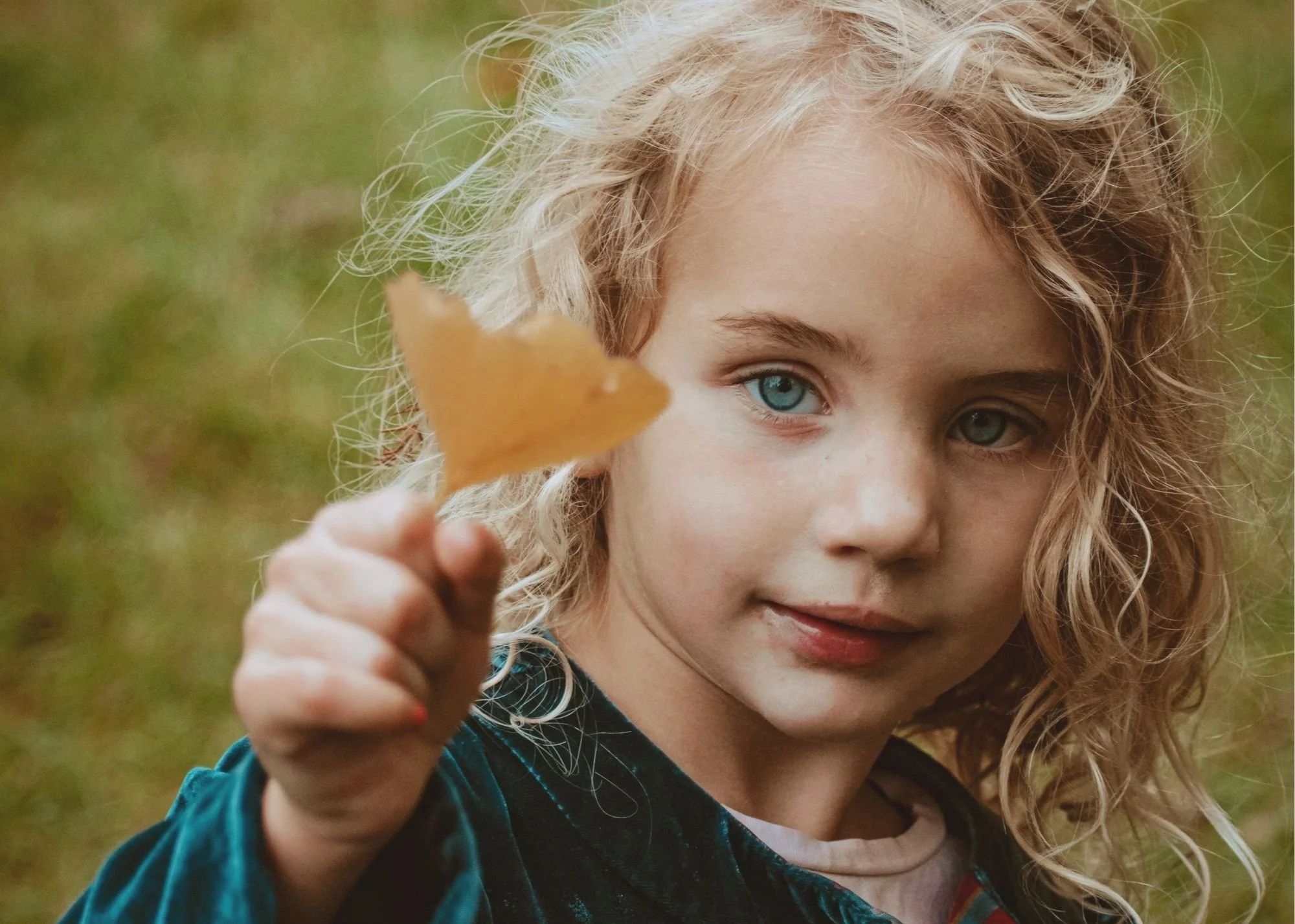 The Ancient Ginkgo Tree Passes On Its Knowledge of Survival and Longevity To You: Ginkgo Biloba Extract for Skin and Bo