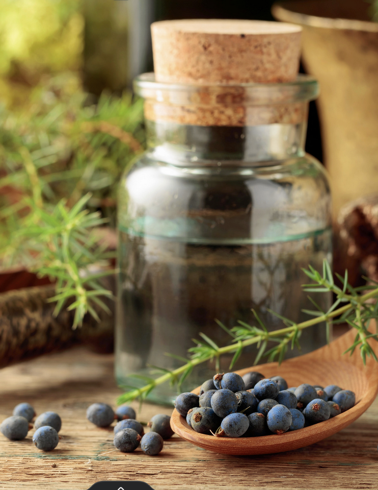 Juniper Oil Benefits for Skin