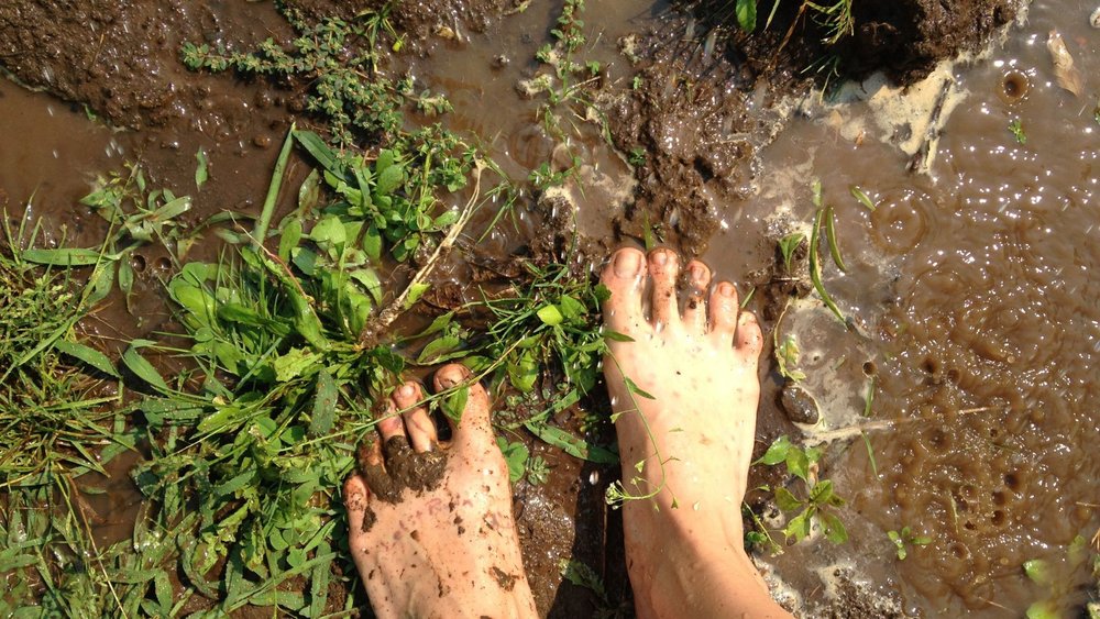 bare-feet-in-dirt.jpg