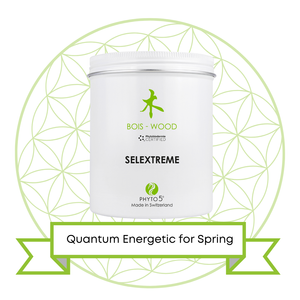 Wood Element Skin Care: Day Cream for Oily Skin and Spring Season