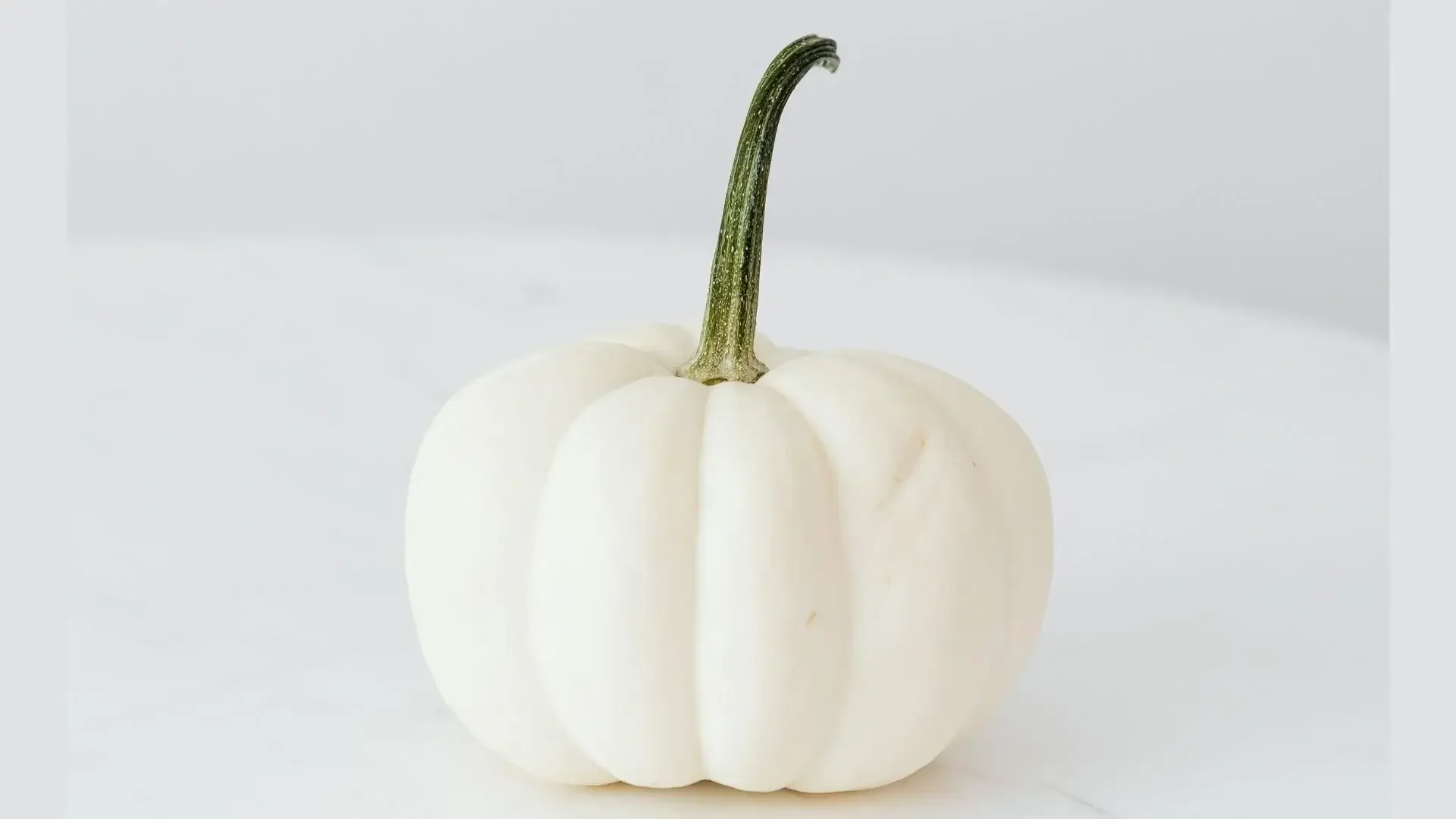 White harvest gourd on a pale background for Fall Equinox 2026 and TCM Metal season