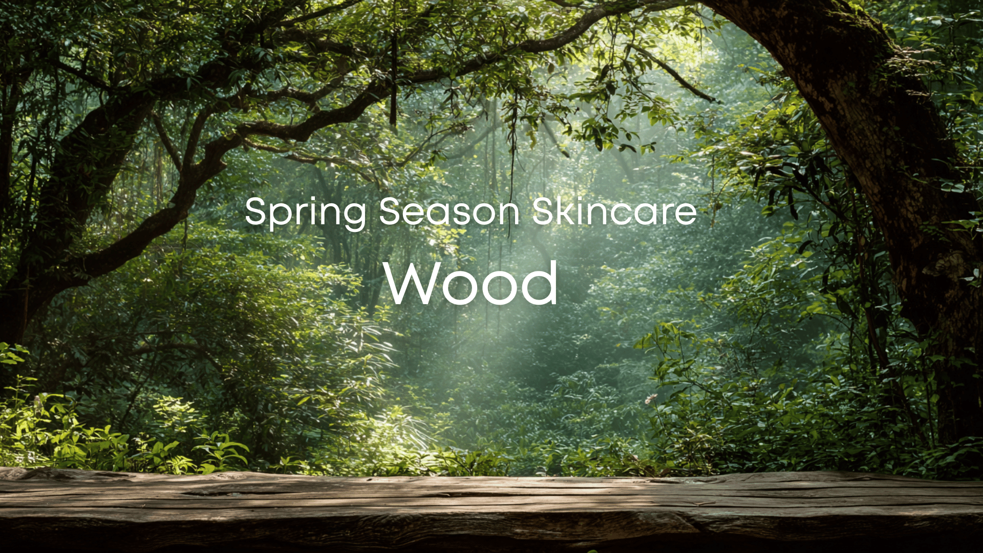 A woody forest symbolizes PHYTO5's Wood element Spring season skincare