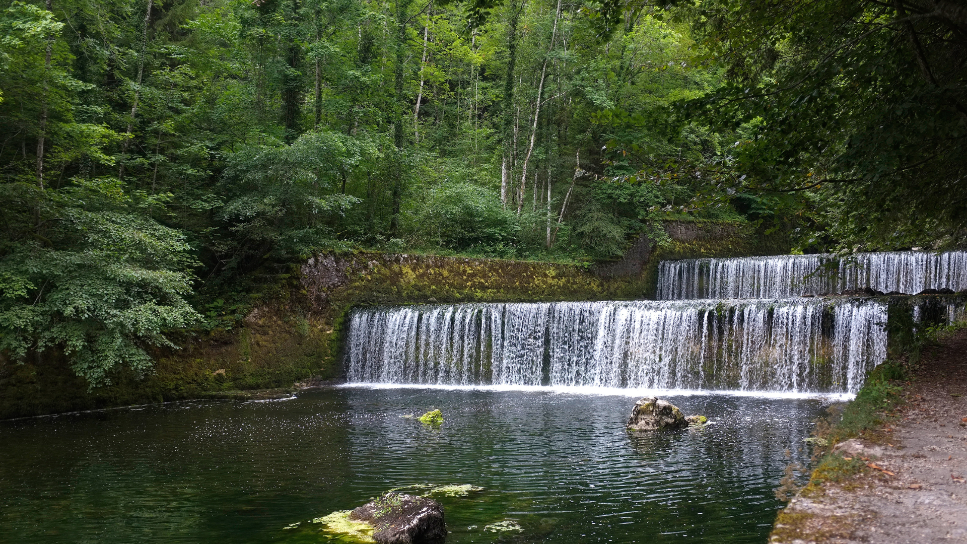 Discover the Mystical Allure of Swiss Skincare: Where Jura Mountain Magic Fuels PHYTO5's Energy-Balancing Revolution