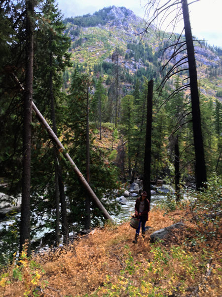 Beauty surrounds in the Cascades!