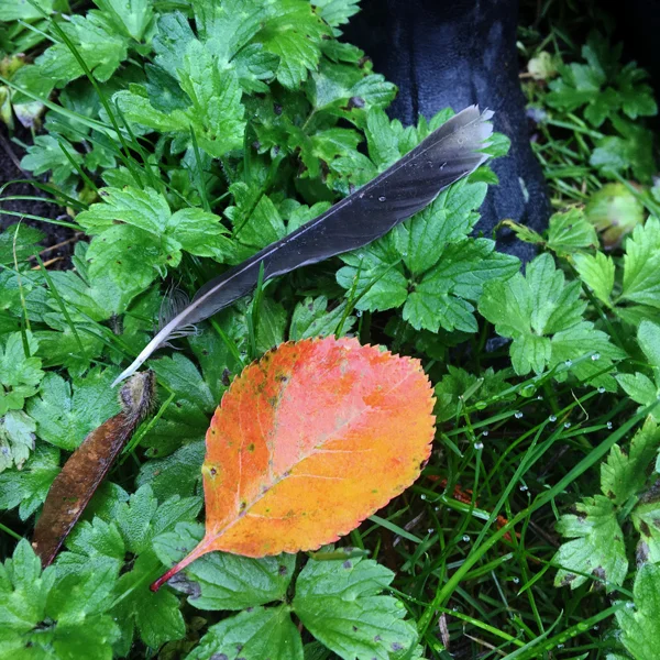 Autumn art is ephemeral and ubiquitous.