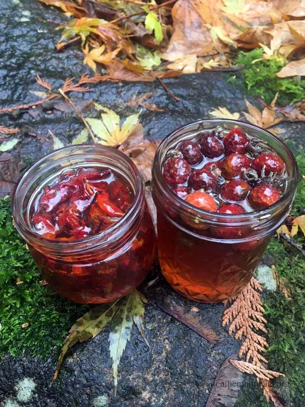 Rose hip infused honey made wth De-seeded dried hips (left) and dried Whole Hips (right)