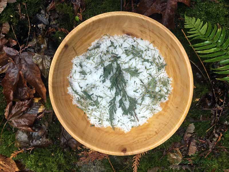Cedar and Fir Bath Salts