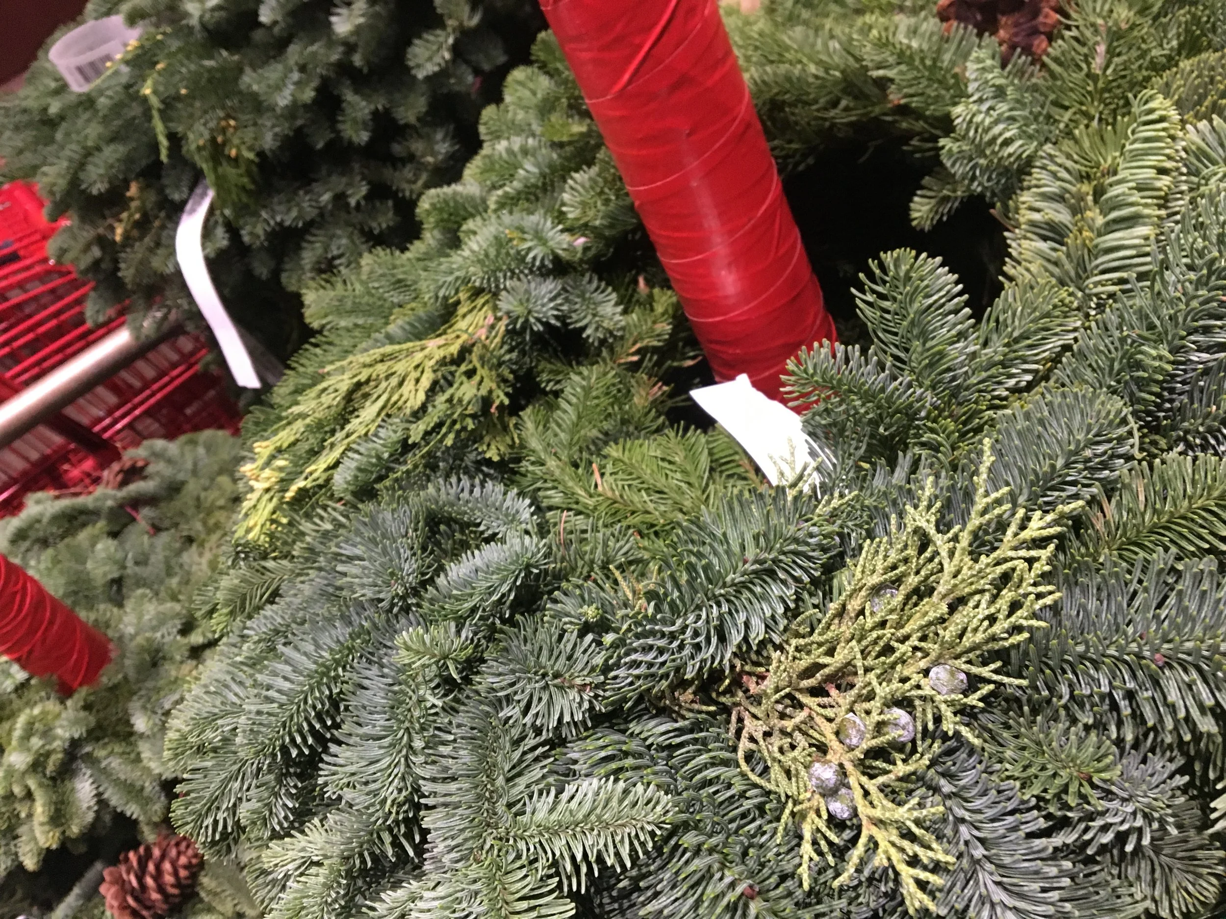 You could go to the grocery store and buy a wreath... or forage and make your own! 