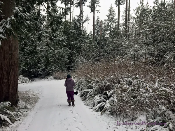 A Snowy Landscape-- An Open Book Waiting to be Read!