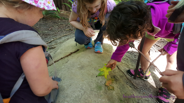 Some Forest School kids looking for TINY tracks in the wet sand