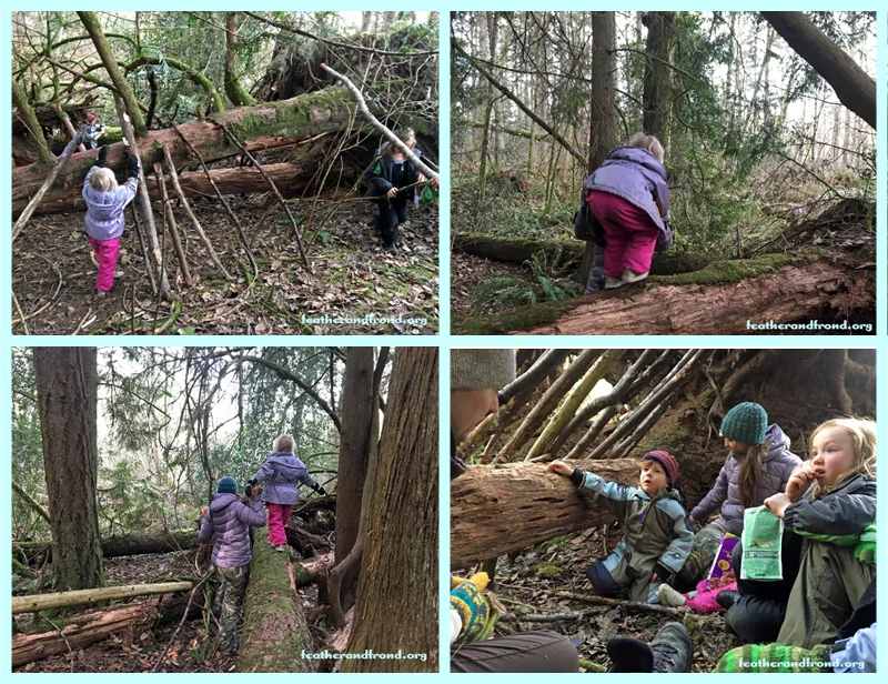 What a day -- building, climbing and sharing stories under the cedar trees! As it was meant to be.